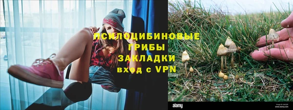 мяу мяу мука Всеволожск