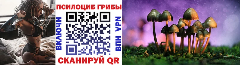 Псилоцибиновые грибы Psilocybe цены наркотик Сальск